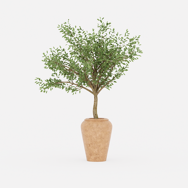Earthen Olive Pot + Artificial tree